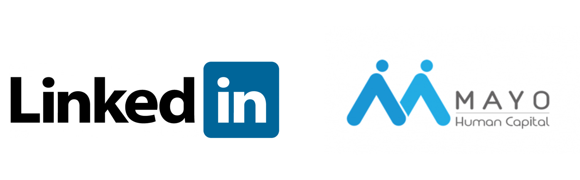 MAYO 是 LinkedIn 在台灣的服務商