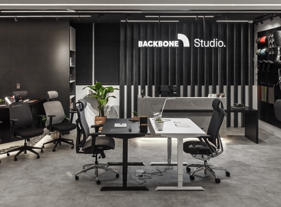 Backbone 人體工學椅