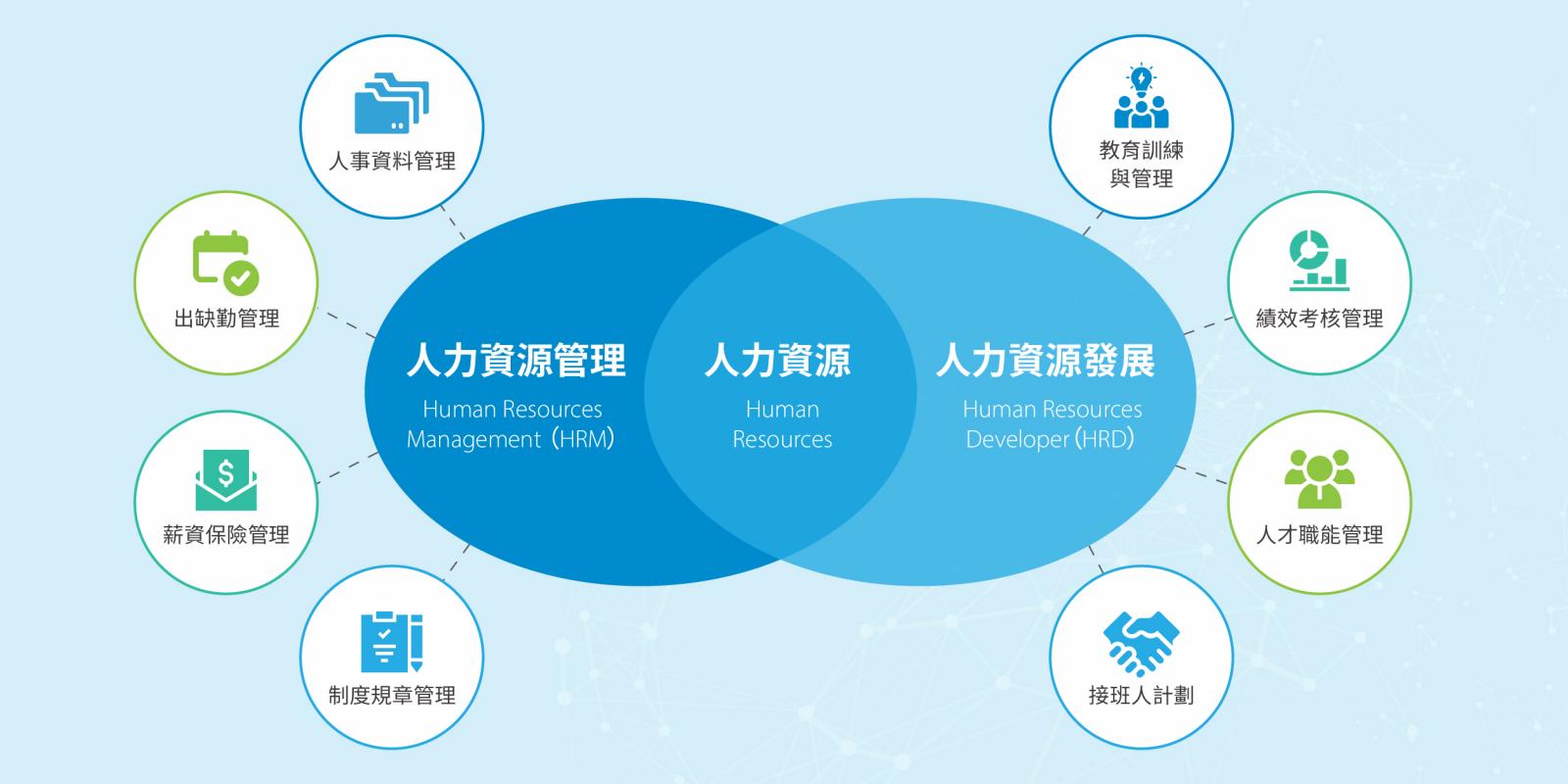 HRM 與 HRD 的差異與核心功能